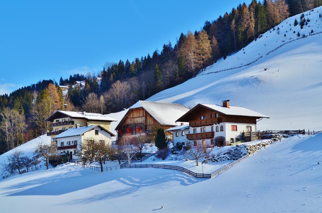 Spreitzhof - Appartements Schladming Bagian luar foto
