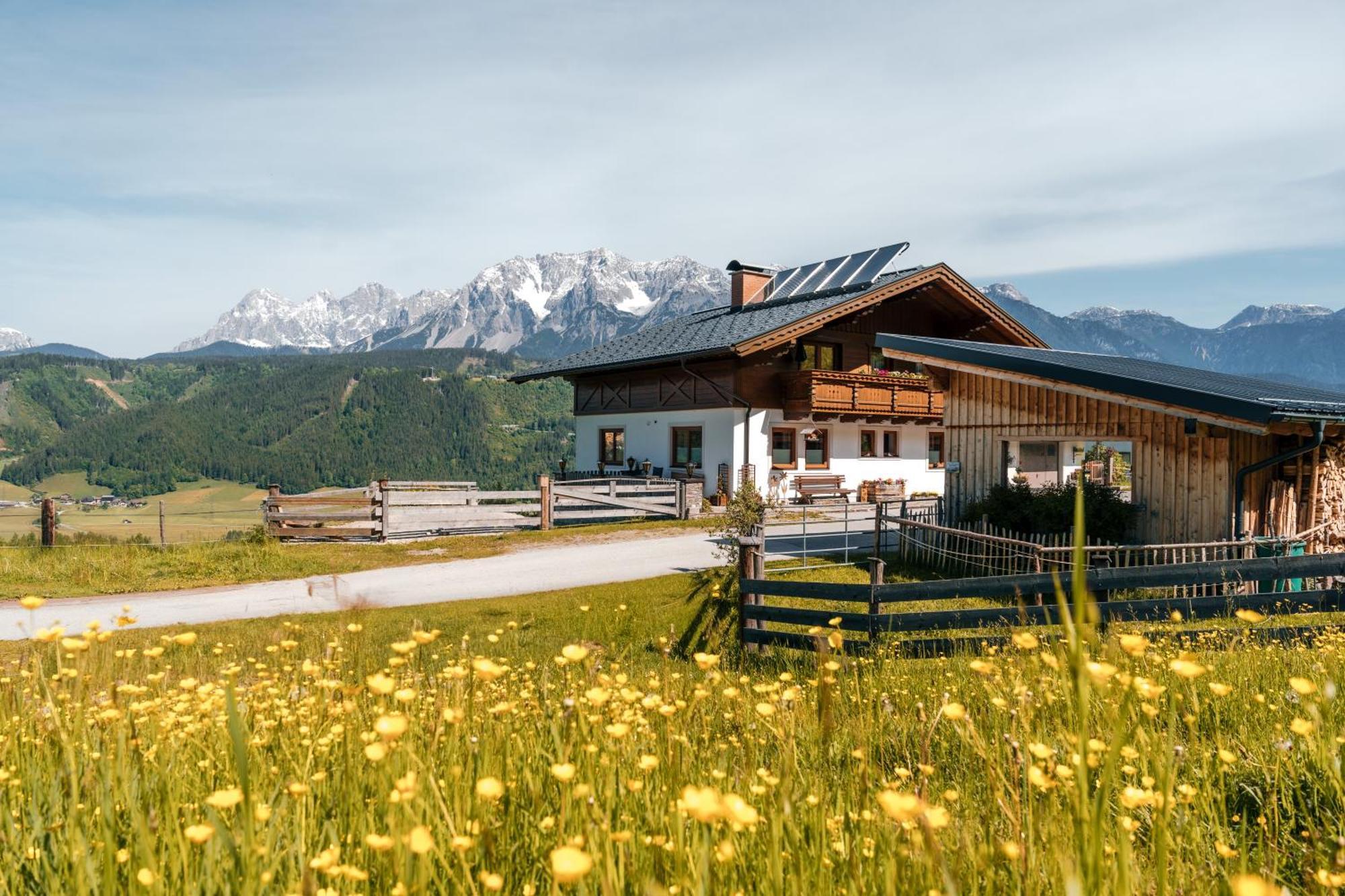 Spreitzhof - Appartements Schladming Bagian luar foto